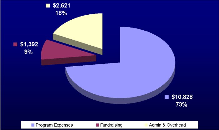 2007 expenses pie chart (unaudited)