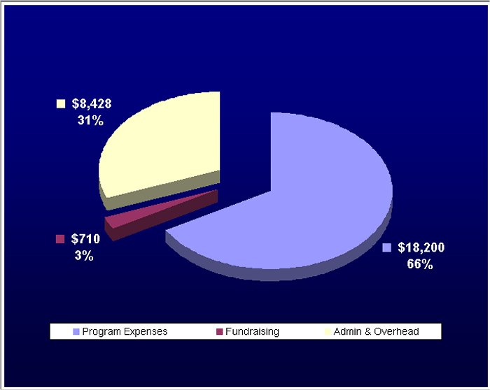 2008 expenses pie chart (unaudited)