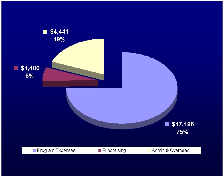 2009 expenses pie chart (unaudited)