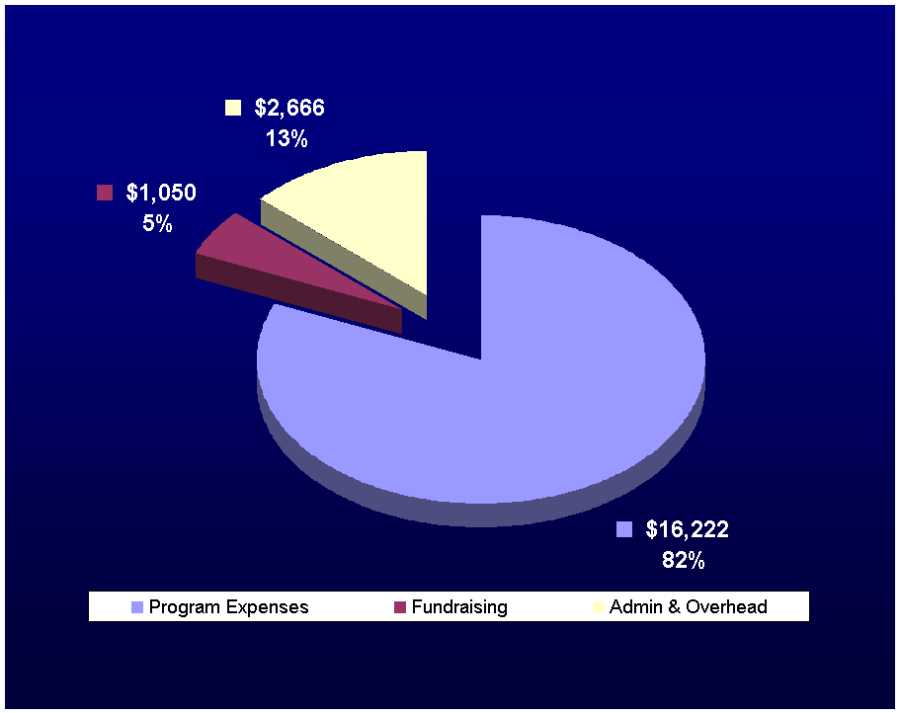 2010 expenses pie chart (unaudited)