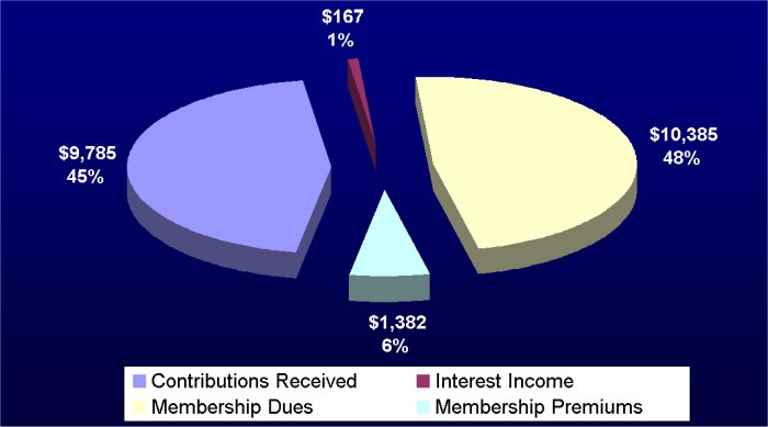 2007 revenues pie chart (unaudited)
