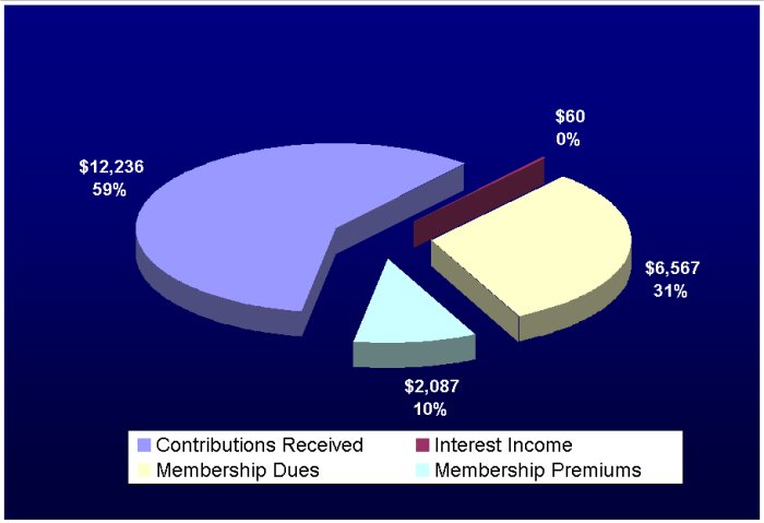 2008 revenues pie chart (unaudited)