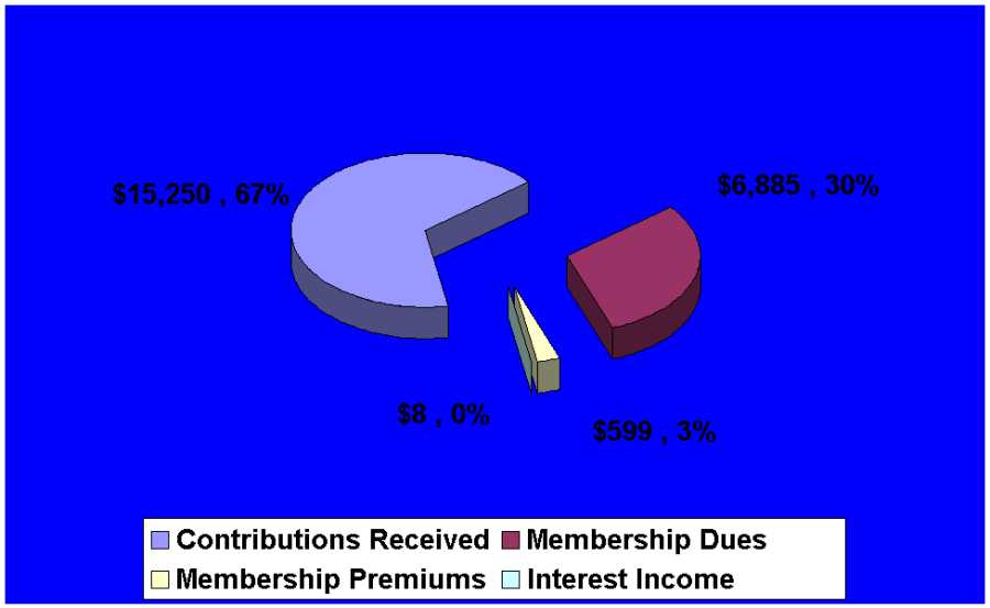 2010 revenues pie chart (unaudited)