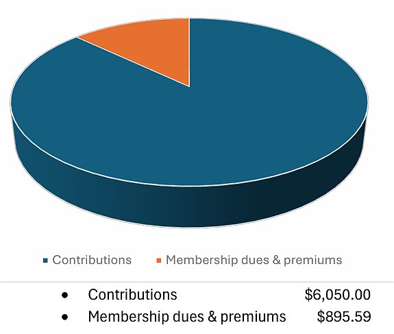 2023 revenues pie chart (unaudited)