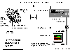 Block Diagram