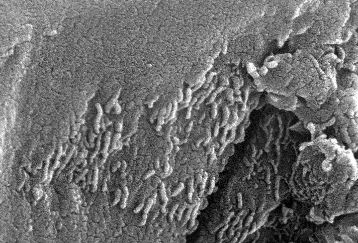 Structures On Mars. structures is not known,